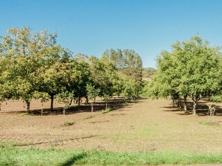 Villa Condat-sur-Vézère Grabación al aire libre 9