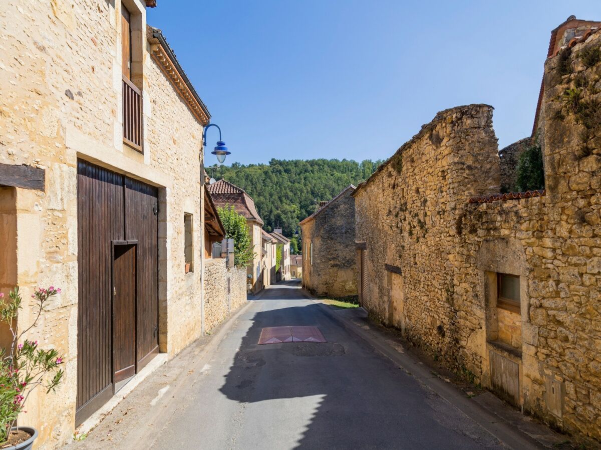 Ferienhaus Les Eyzies-de-Tayac-Sireuil Umgebung 41