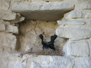 Maison de vacances Die  39