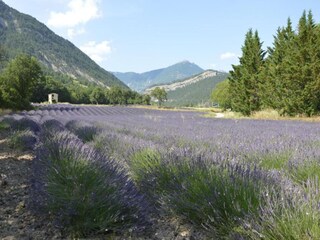 Maison de vacances Die Environnement 24