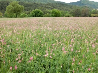 Casa de vacaciones Die Entorno 35
