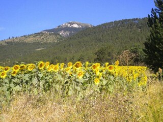Casa de vacaciones Die Entorno 26