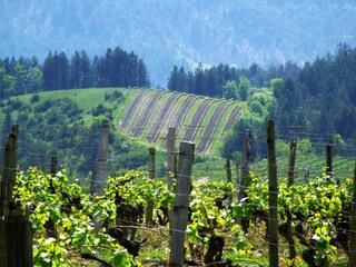 Vakantiehuis Charmes-sur-l'herbasse Omgeving 34