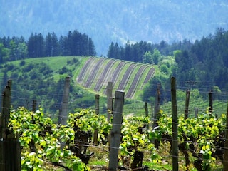 Ferienhaus Charmes-sur-l'herbasse Umgebung 33