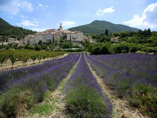 Maison de vacances Romans-sur-Isère Environnement 37