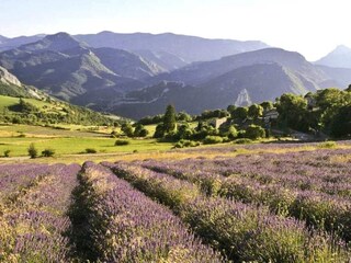Maison de vacances Romans-sur-Isère Environnement 37
