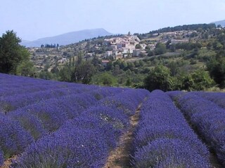 Appartamento Montbrun-les-Bains Ambiente 33