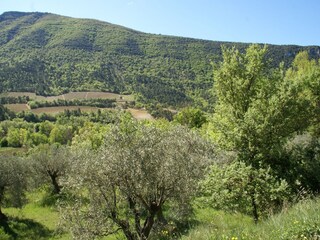 Apartment Montbrun-les-Bains Environment 31