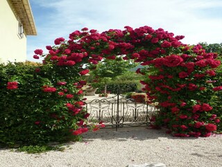 Appartamento Montbrun-les-Bains  40