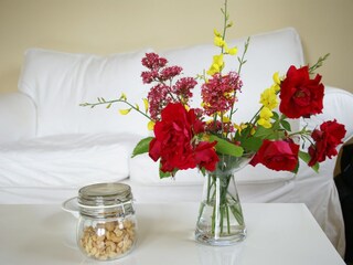 Appartement Montbrun-les-Bains  40