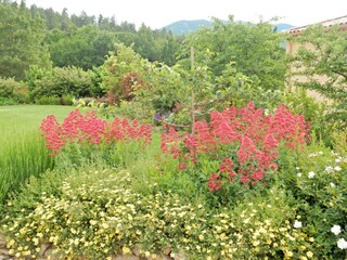 Apartamento Montbrun-les-Bains Grabación al aire libre 8