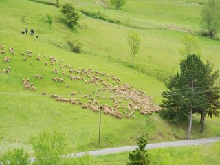 Appartamento Saint-Pierre-d'Argençon Ambiente 24