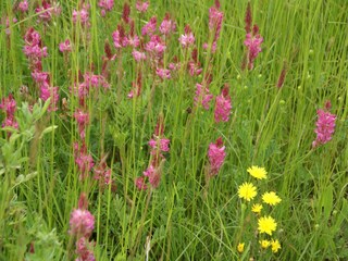 Appartement Saint-Pierre-d'Argençon  38