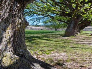 Appartement Saint-Pierre-d'Argençon Omgeving 31