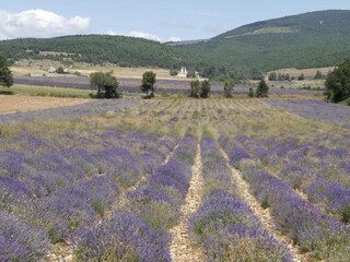 Appartamento Saint-Pierre-d'Argençon Ambiente 35