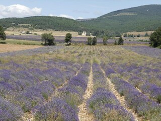 Apartamento Saint-Pierre-d'Argençon Entorno 27