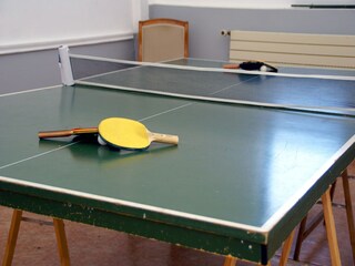 Castillo Asnières Características 28