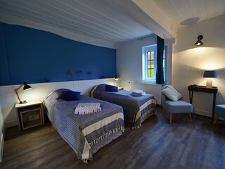 Castillo Asnières Características 31