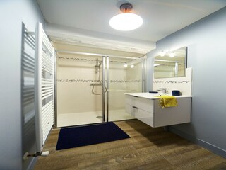 Castillo Asnières Características 6