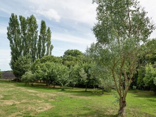 Casa de vacaciones Plouhinec Entorno 22