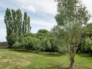 Maison de vacances Plouhinec Environnement 25