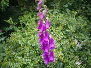 Casa per le vacanze Quimperlé  39