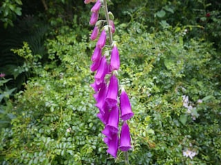 Ferienhaus Quimperlé  39