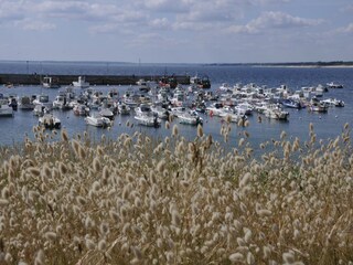 Holiday house Quimperlé Environment 18