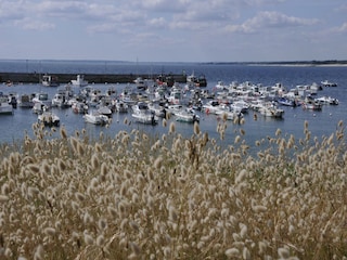 Holiday house Quimperlé Environment 20