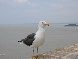 Casa de vacaciones Quimperlé  38
