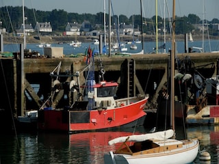 Ferienhaus Quimperlé Umgebung 25