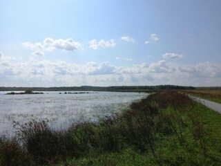 Vakantiehuis Quimperlé Omgeving 22