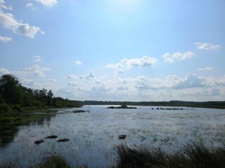 Maison de vacances Quimperlé Environnement 16
