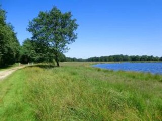Vakantiehuis Quimperlé Omgeving 21