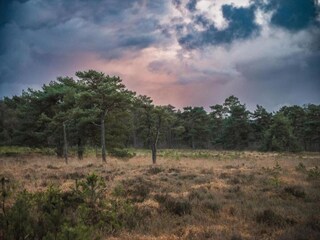 Vakantiehuis Quimperlé Omgeving 22