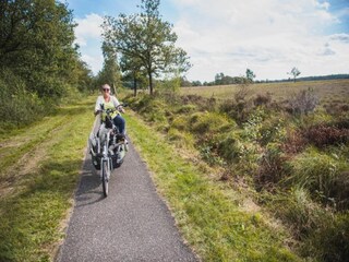 Vakantiehuis Quimperlé Omgeving 35