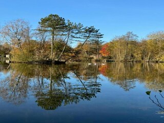 Vakantiehuis Quimperlé Omgeving 28
