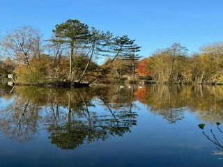 Maison de vacances Quimperlé Environnement 34
