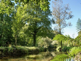 Casa de vacaciones Quimperlé Entorno 28