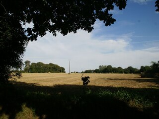 Vakantiehuis Saint-Thonan Buitenaudio-opname 4