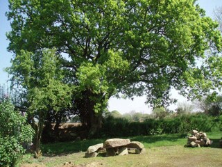 Casa de vacaciones Saint-Thonan Grabación al aire libre 4