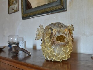 Casa de campo Plougonven  40