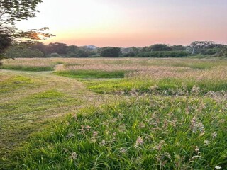 Casa de campo Plougonven Entorno 37