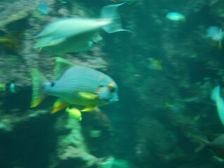 Casa per le vacanze Penmarch Ambiente 37