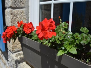 Maison de vacances Plouhinec  39