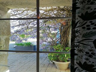 Vakantiehuis Plouhinec Buitenaudio-opname 6