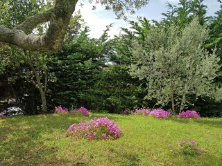 Villa Saint-Laurent-de-Carnols Buitenaudio-opname 3