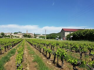 Villa Saint-Laurent-de-Carnols Environment 23