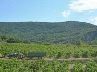 Villa Saint-Laurent-de-Carnols Environnement 39