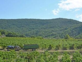 Villa Saint-Laurent-de-Carnols Environnement 36